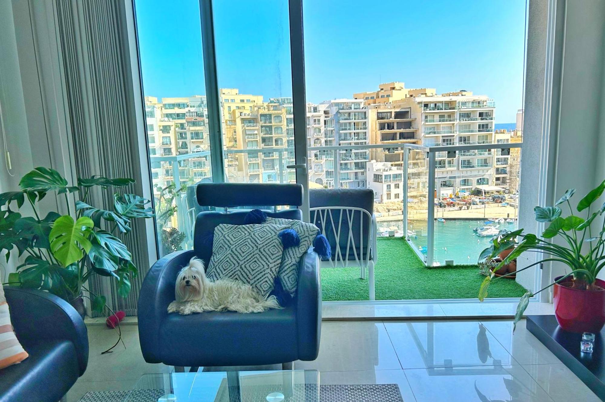 Spinola Bay View Leilighet Saint Julian's Eksteriør bilde
